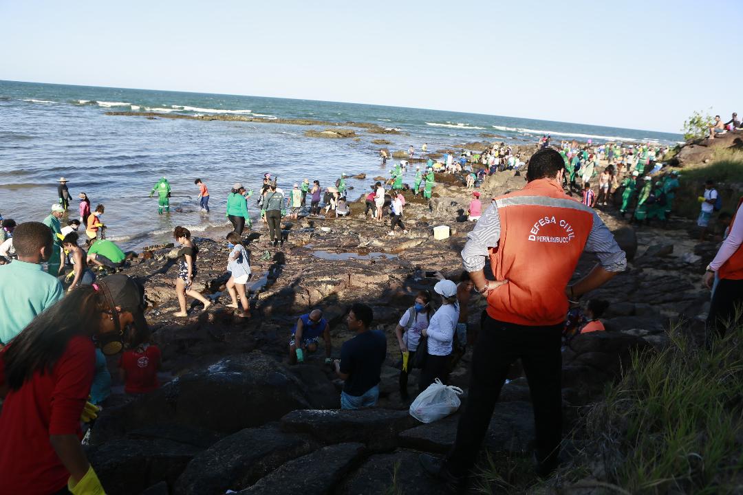 Leia mais sobre o artigo Total de óleo recolhido nas praias de Pernambuco chega a 257 toneladas